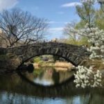 27 Cosas que hacer en Central Park 27 Cosas que hacer en Central Park