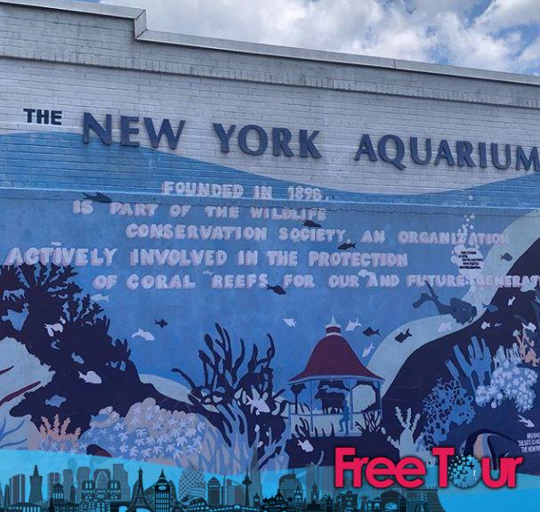 Aquarium Saturdays - New York Aquarium | Días libres y entradas con descuento