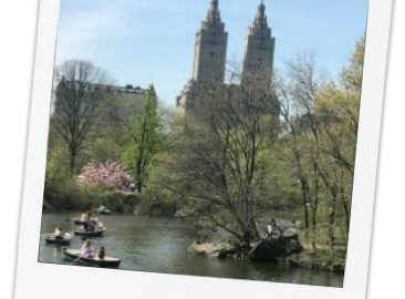 Entradas para el zoológico de Central Park