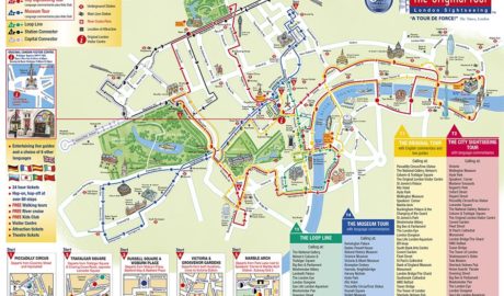 Comparativa de las excursiones en autobús de Londres: ¿Cuál es la mejor?