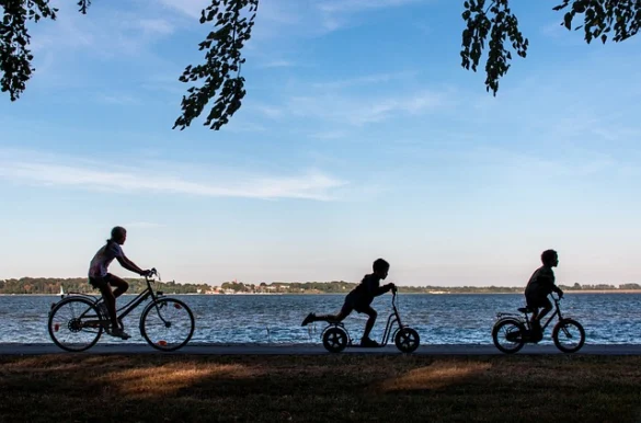 Actividades familiares en Chicago