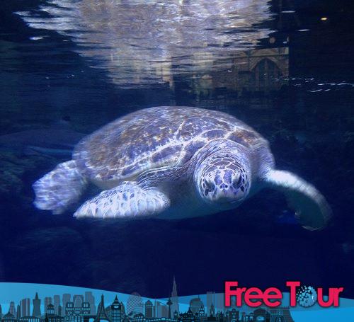 Acuario de Londres 2 por 1 Trato Acuario de Londres 2 por 1 Trato