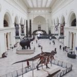 Boletos con descuento para el Museo de Campo de Chicago Boletos con descuento para el Museo de Campo de Chicago