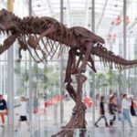 Boletos y Descuentos en la Academia de Ciencias de California Boletos y Descuentos en la Academia de Ciencias de California