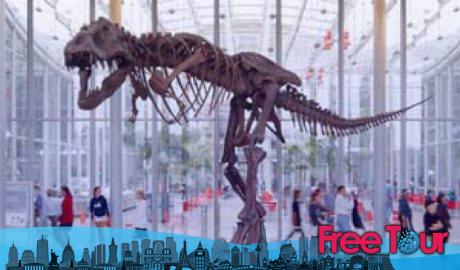 Boletos y Descuentos en la Academia de Ciencias de California Boletos y Descuentos en la Academia de Ciencias de California