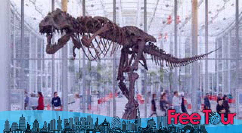 Boletos y Descuentos en la Academia de Ciencias de California Boletos y Descuentos en la Academia de Ciencias de California