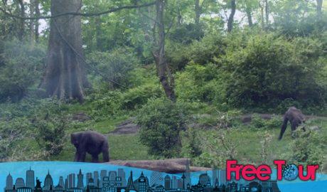 Bronx Zoo | Miércoles gratis y otros descuentos