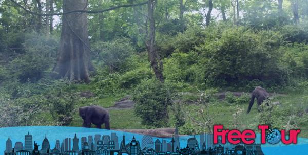 Bronx Zoo | Miércoles gratis y otros descuentos Bronx Zoo | Miércoles gratis y otros descuentos