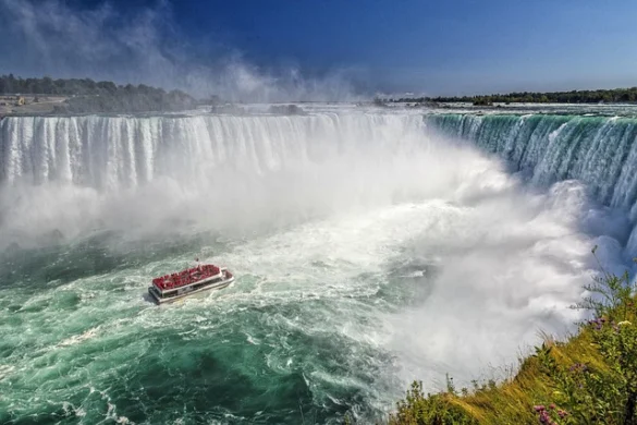 Chicago River Boat Tours y Cruceros