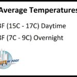 ¿Cómo es el clima en Nueva Orleans en enero? ¿Cómo es el clima en Nueva Orleans en enero?
