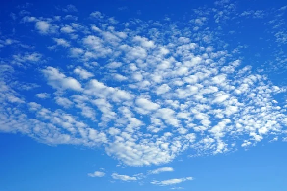 ¿Cómo es el clima en Nueva Orleans en enero?