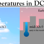 ¿Cómo es el clima en Washington, DC durante diciembre? ¿Cómo es el clima en Washington, DC durante diciembre?