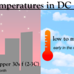 ¿Cómo es el clima en Washington, DC en noviembre? ¿Cómo es el clima en Washington, DC en noviembre?
