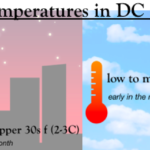 ¿Cómo es el clima en Washington, DC en noviembre?