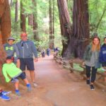 Cómo Tomar el Trasbordador del Bosque de Muir Cómo Tomar el Trasbordador del Bosque de Muir