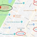 Conciertos gratuitos en Central Park en Summerstage 2023