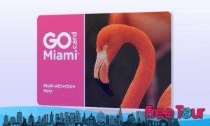 cosas gratis que hacer en miami 7 300x180 - Cosas gratis que hacer en Miami