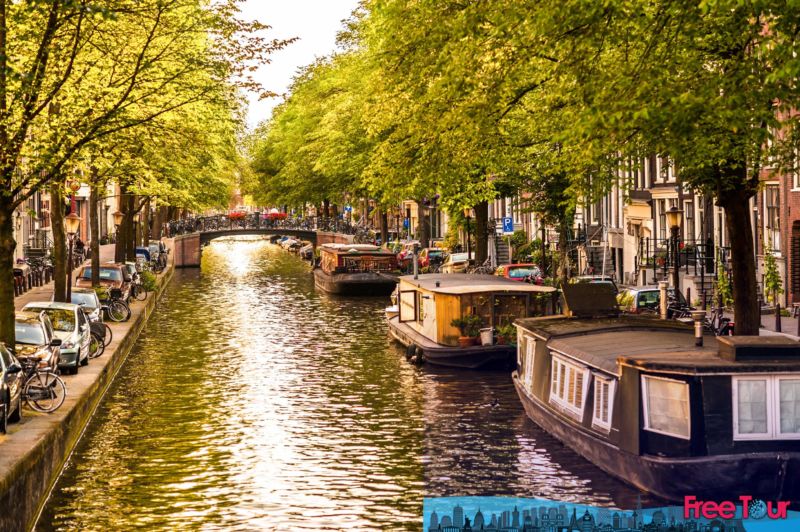 Cosas que hacer en Amsterdam en noviembre Cosas que hacer en Amsterdam en noviembre