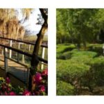 Cosas que hacer en Charleston en marzo (actualizado) Cosas que hacer en Charleston en marzo (actualizado)