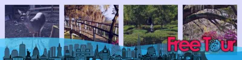 Cosas que hacer en Charleston en marzo (actualizado) Cosas que hacer en Charleston en marzo (actualizado)