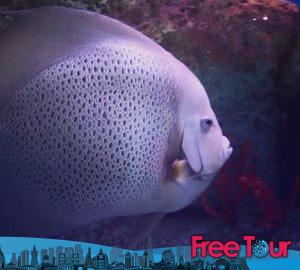 Cosas que hacer en un día lluvioso en Charleston Cosas que hacer en un día lluvioso en Charleston