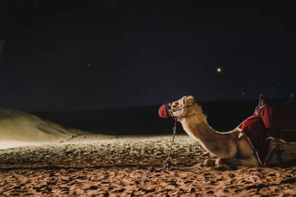 ¿Cuál es el mejor momento para visitar Dubai?