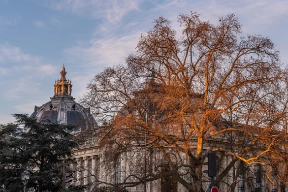 ¿Cuál es el tiempo en París en enero?