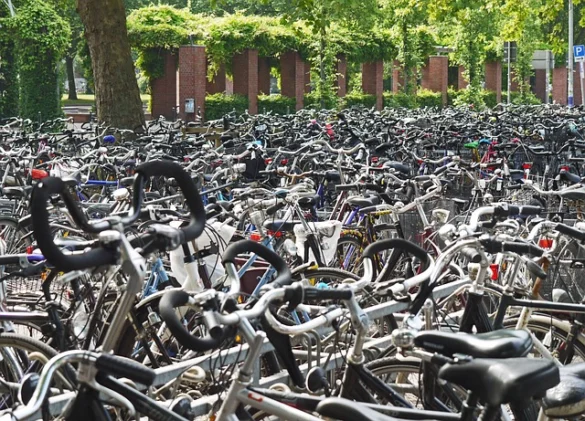 ¿Cuáles son las mejores excursiones en bicicleta en Central Park?