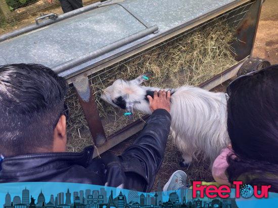 Descuentos y vales en el Zoo de Londres Descuentos y vales en el Zoo de Londres