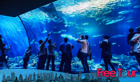 Días de los Museos de Chicago gratis este año Días de los Museos de Chicago gratis este año