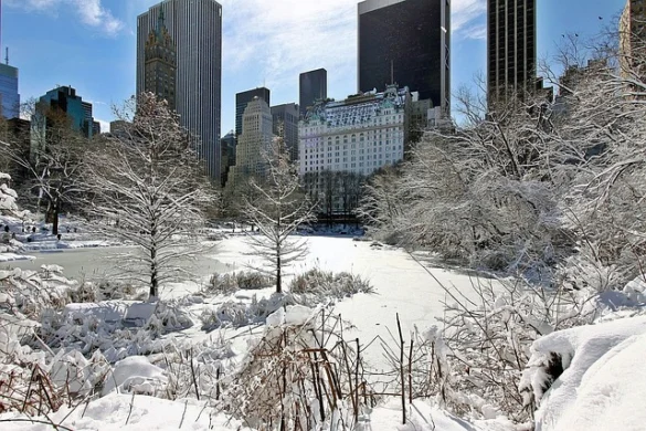 Enero Tiempo en Nueva York