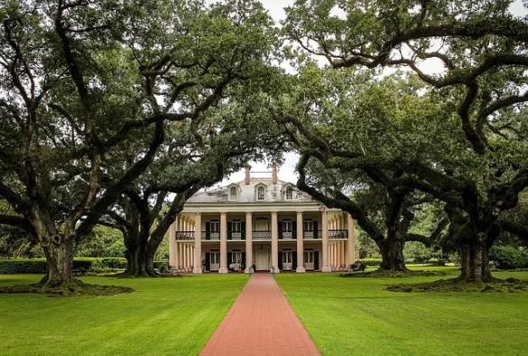 Entradas Oak Alley Plantation, Tours y Reseñas