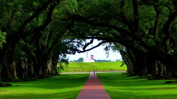 Entradas Oak Alley Plantation, Tours y Reseñas