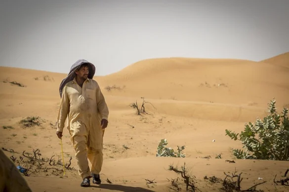 Excursión de 3 días a Dubai | Sugerencias de excursiones