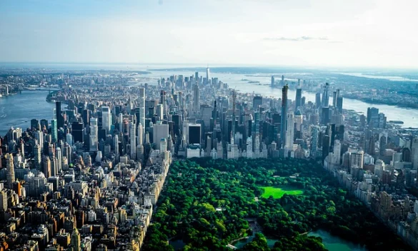 Excursiones a Central Park