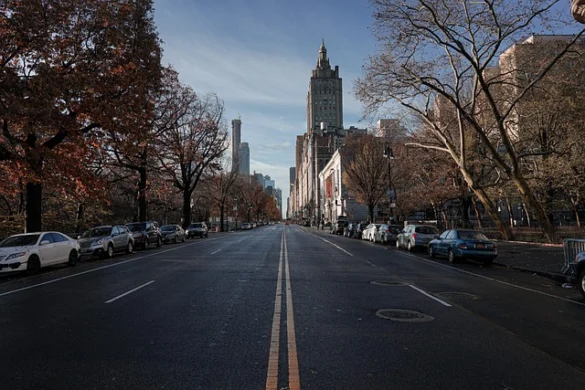 Excursiones a Central Park