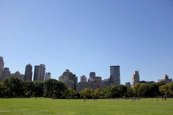 Excursiones a Central Park