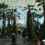 Excursiones autoguiadas a pie por Chicago Excursiones autoguiadas a pie por Chicago