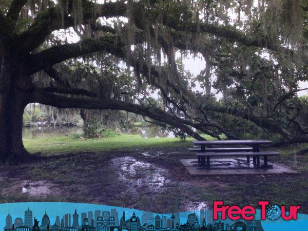 Guía del Parque de la Ciudad de Nueva Orleans