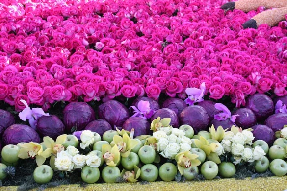 Guía del visitante para el Desfile de las Rosas 2023