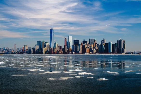 Guía Destacada: Meredith de la ciudad de Nueva York