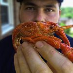 langosta-cangrejo-de-rio-cangrejo-de-rio-cangrejo-de-rio-es-la-temporada-en-nueva-orleans langosta-cangrejo-de-rio-cangrejo-de-rio-cangrejo-de-rio-es-la-temporada-en-nueva-orleans-1