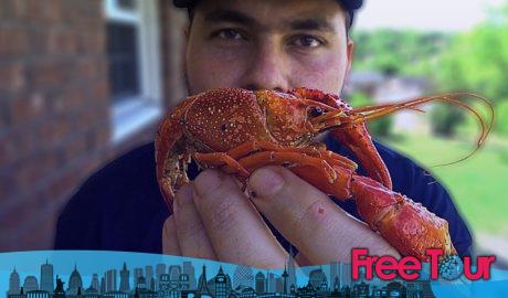 langosta-cangrejo-de-rio-cangrejo-de-rio-cangrejo-de-rio-es-la-temporada-en-nueva-orleans langosta-cangrejo-de-rio-cangrejo-de-rio-cangrejo-de-rio-es-la-temporada-en-nueva-orleans-1
