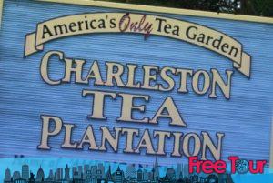 las 5 cosas gratuitas mas importantes que puedes hacer en charleston y sus alrededores 4 300x201 - Las 5 cosas GRATUITAS más importantes que puedes hacer en Charleston y sus alrededores