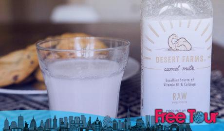 Leche de camello Leche de camello