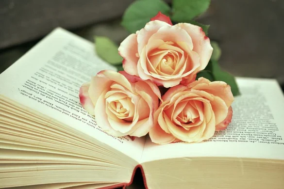 Los 10 mejores libros de EAU
