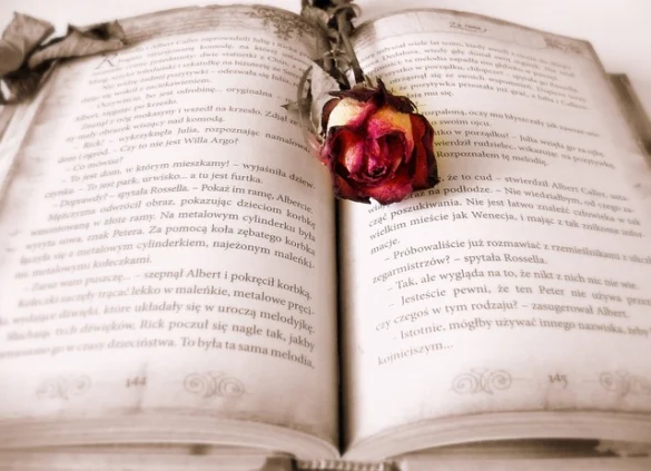 Los 10 mejores libros de EAU