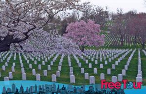 Los 6 mejores tours de cerezos en flor en DC (a pie, en autobús y en bicicleta!)