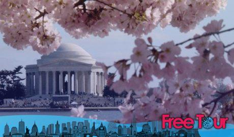 Los 6 mejores tours de cerezos en flor en DC (a pie, en autobús y en bicicleta!) Los 6 mejores tours de cerezos en flor en DC (a pie, en autobús y en bicicleta!)