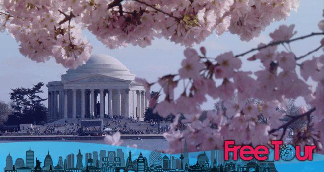 Los 6 mejores tours de cerezos en flor en DC (a pie, en autobús y en bicicleta!) Los 6 mejores tours de cerezos en flor en DC (a pie, en autobús y en bicicleta!)